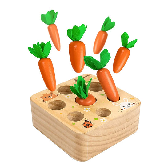 Sorting Carrot Set
